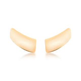 18k Gold Plated Earring